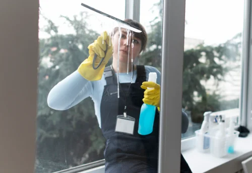Nettoyage de vitres intérieures et extérieures à Sioniac